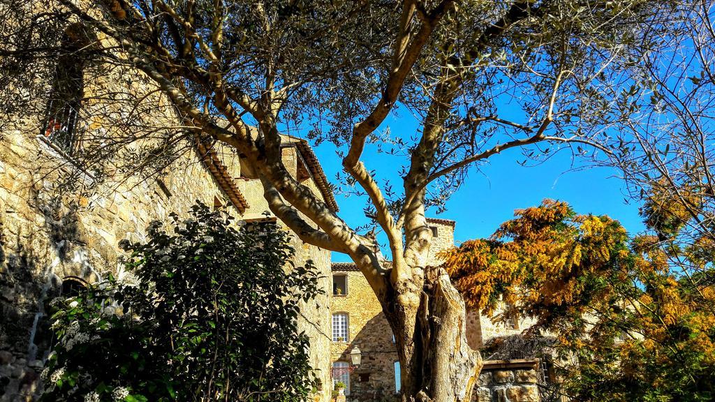 Villa Arca Les Arcs-sur-Argens Exterior photo